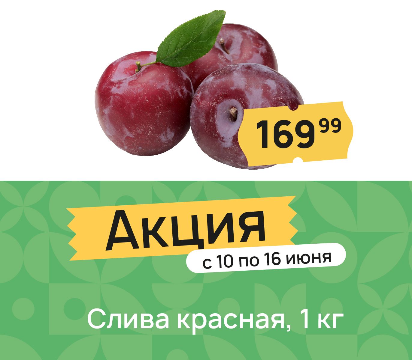 Слива красная