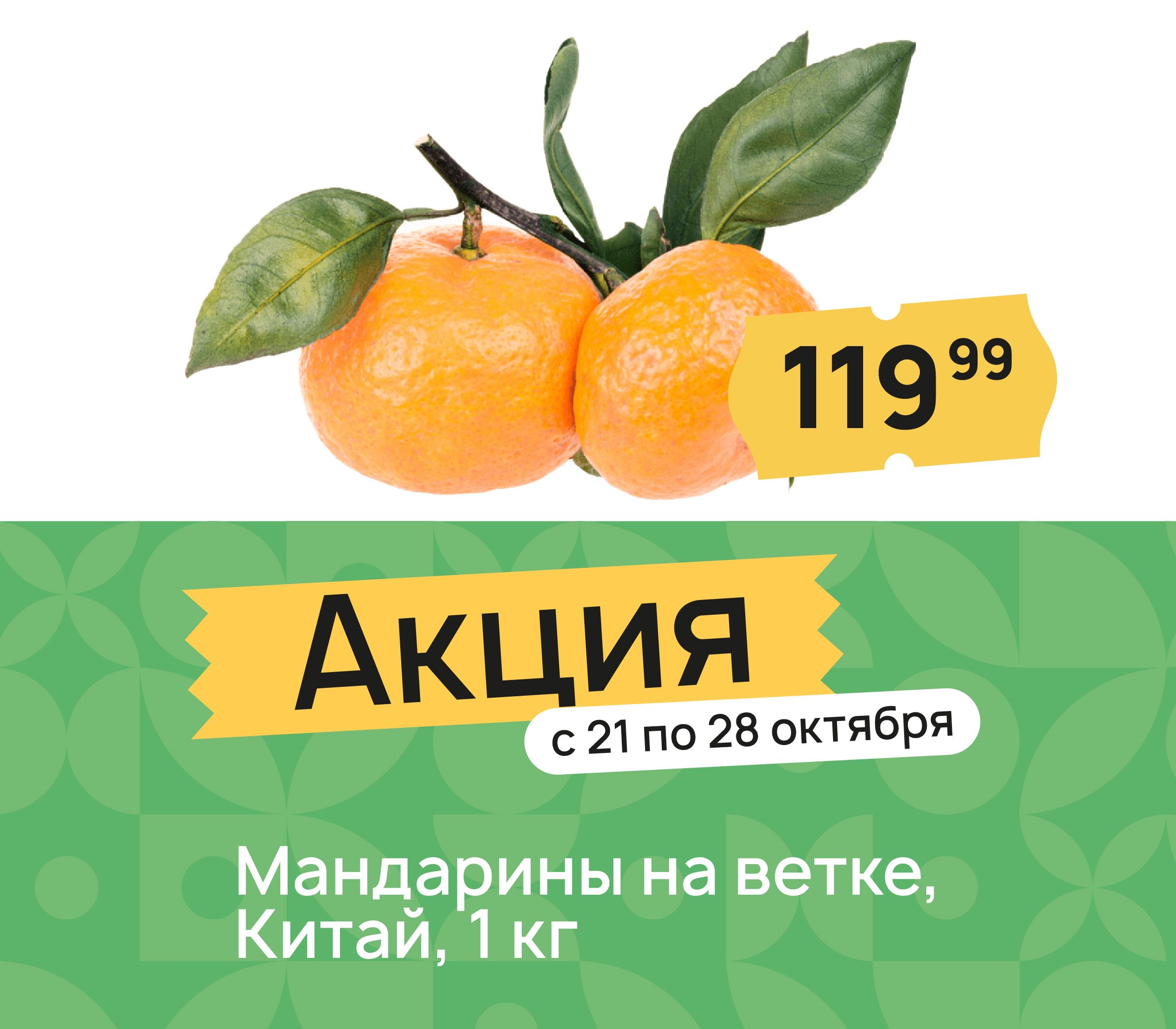 Мандарины на ветке